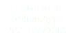 Zaragoza WhatsApp: 55539771309 